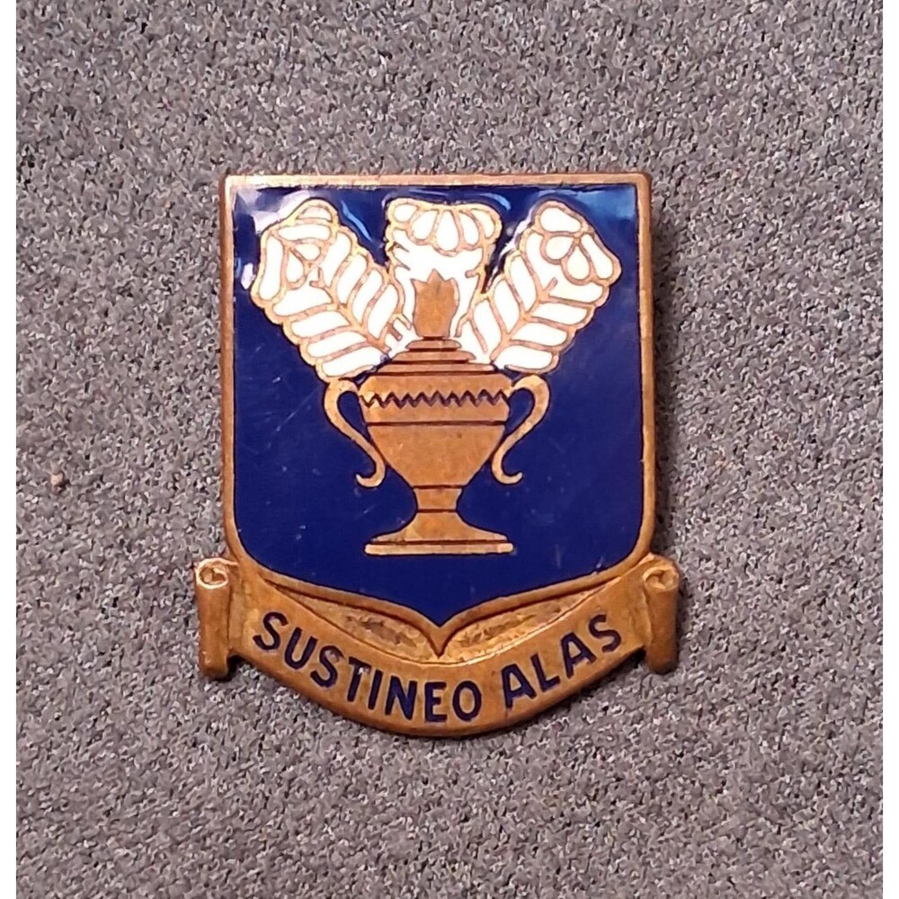 WW2 Air Force Pin Sustineo Alas